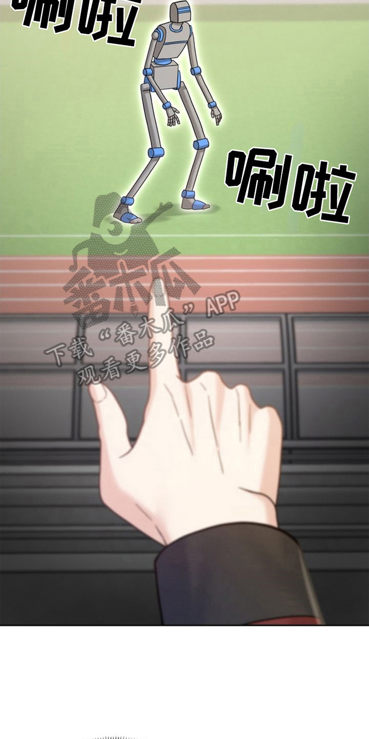 17.jpg