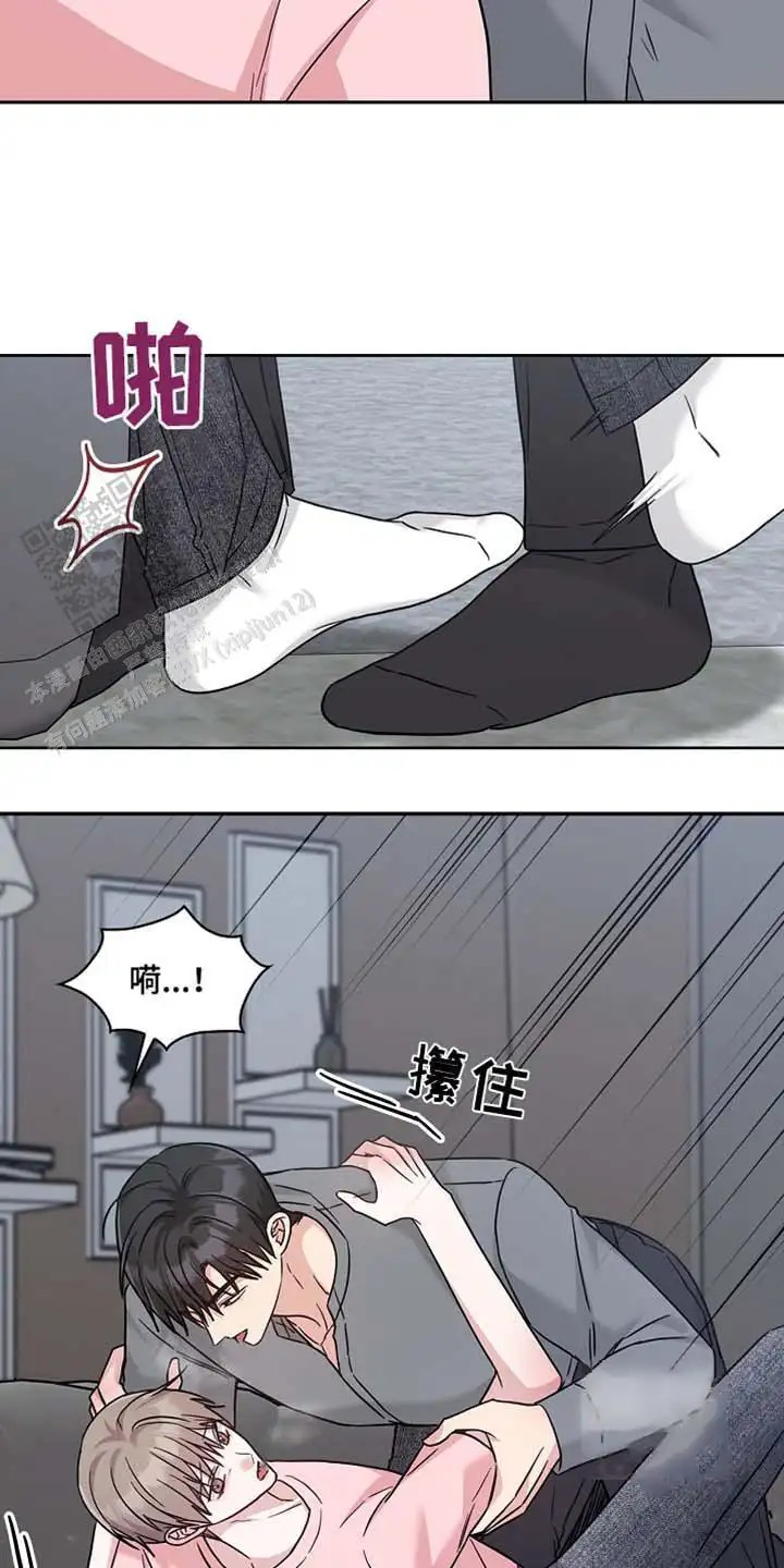 15.jpg