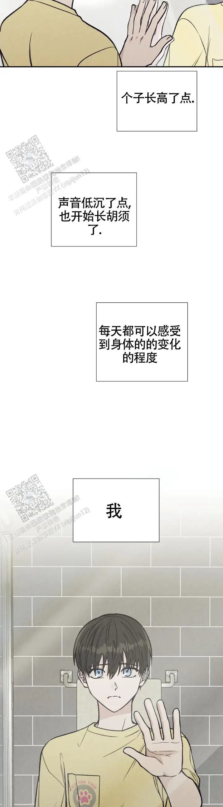 4.jpg