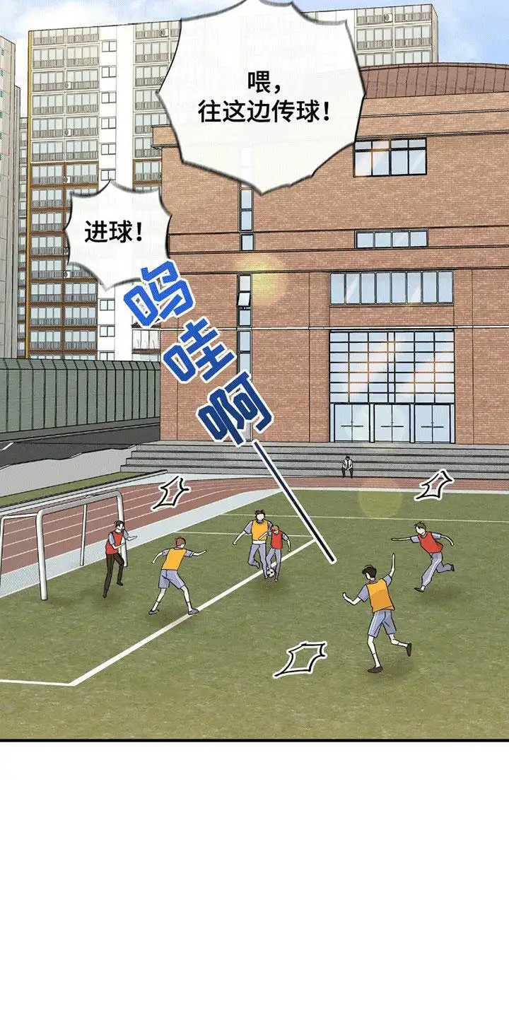 19.jpg