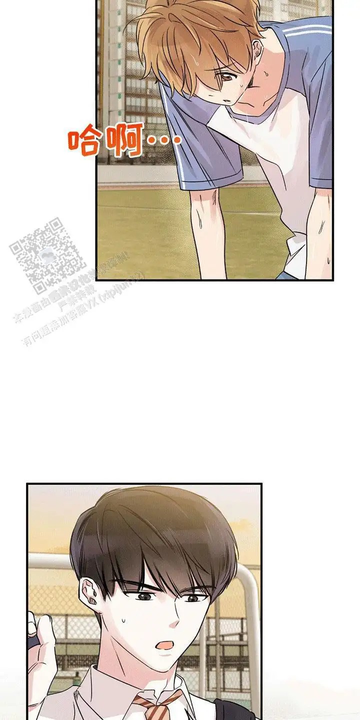 24.jpg