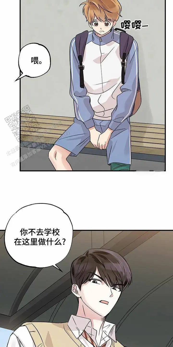 18.jpg