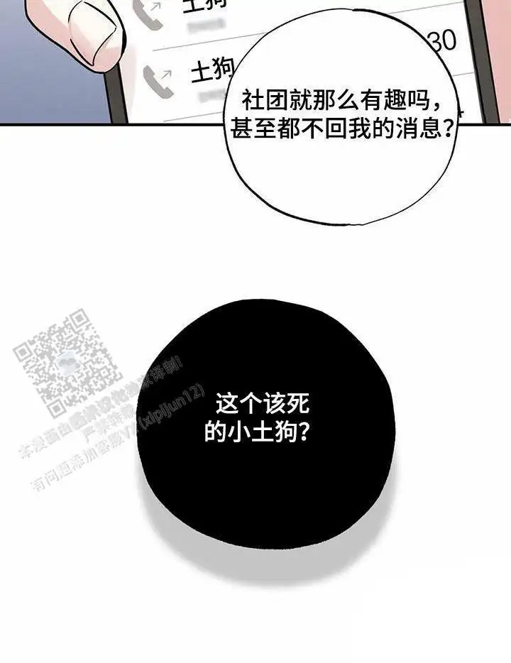 26.jpg
