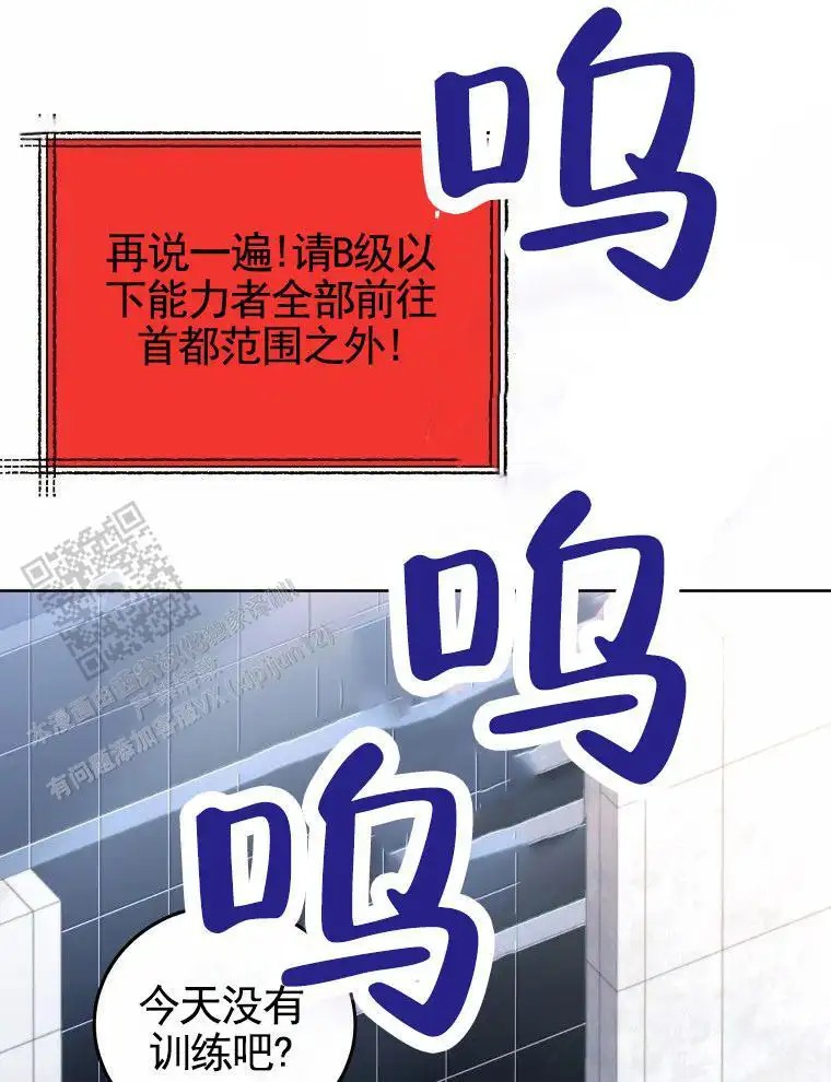 43.jpg