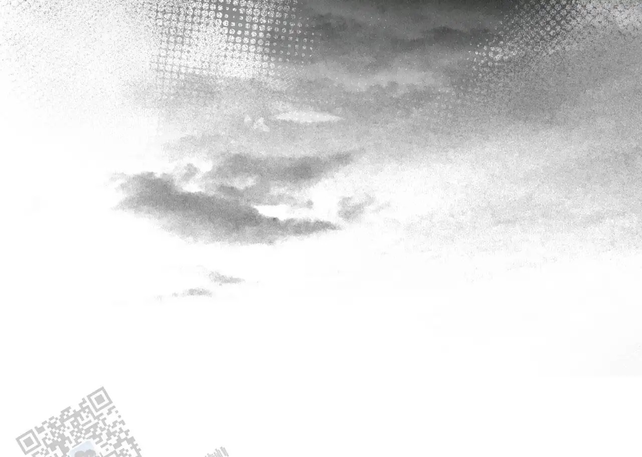 50.jpg