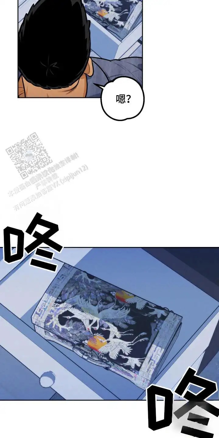 11.jpg