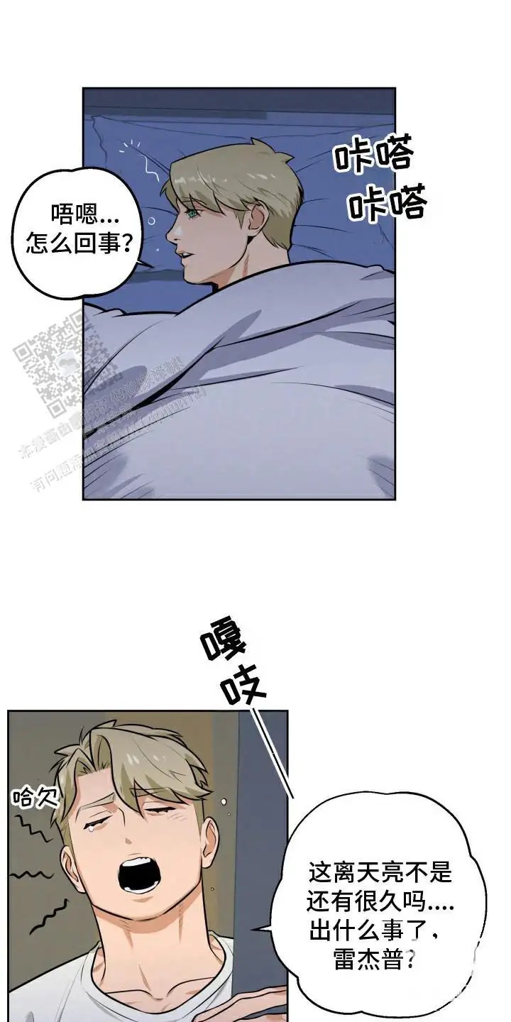 13.jpg