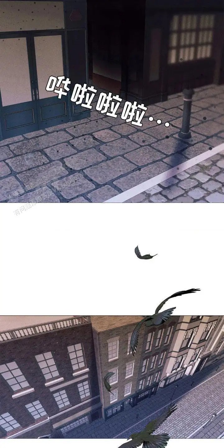 21.jpg