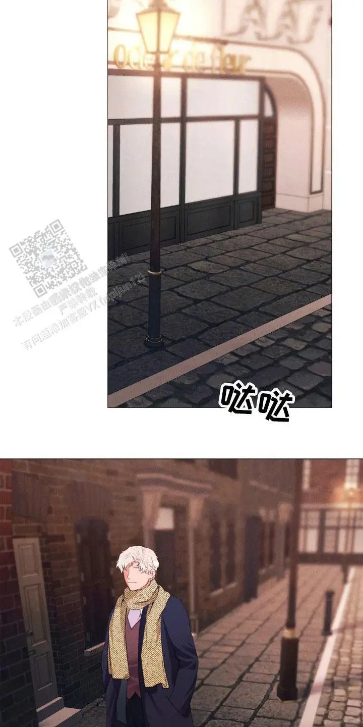 17.jpg
