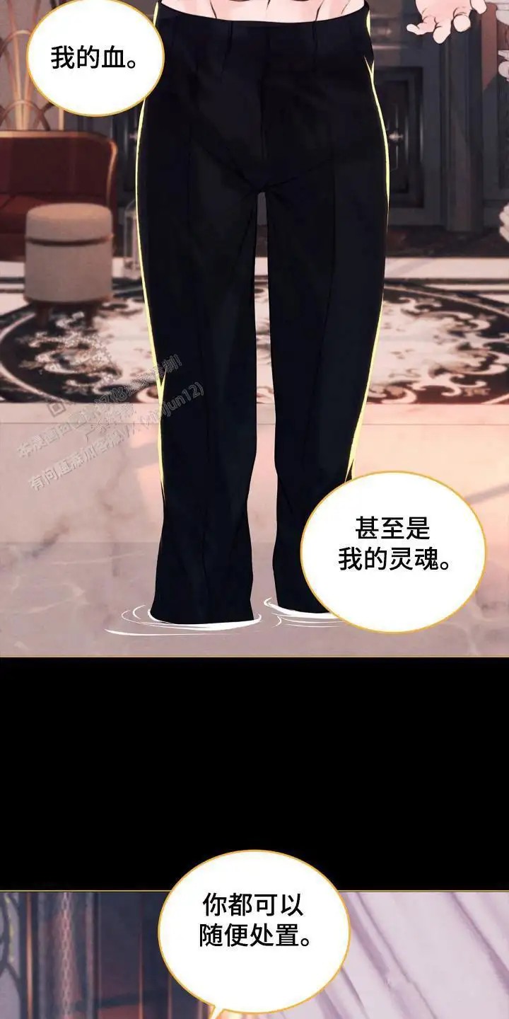 17.jpg