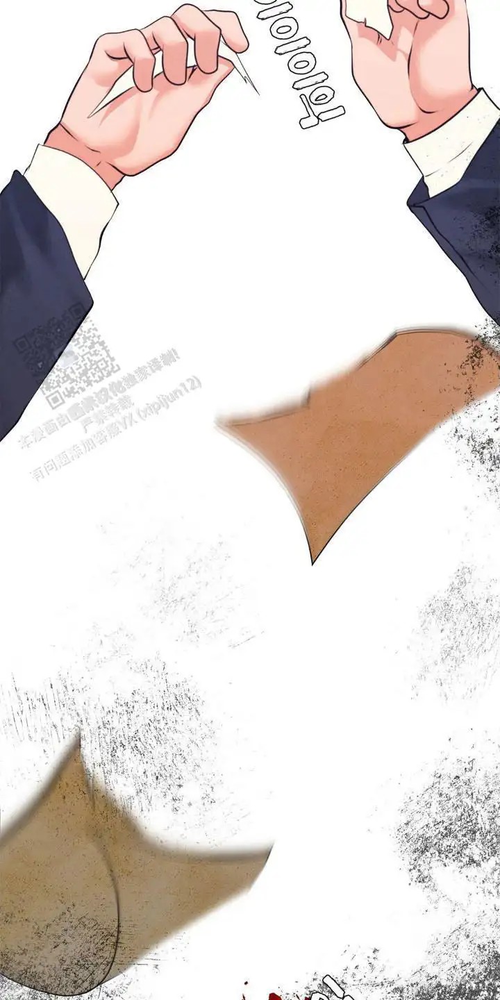 24.jpg
