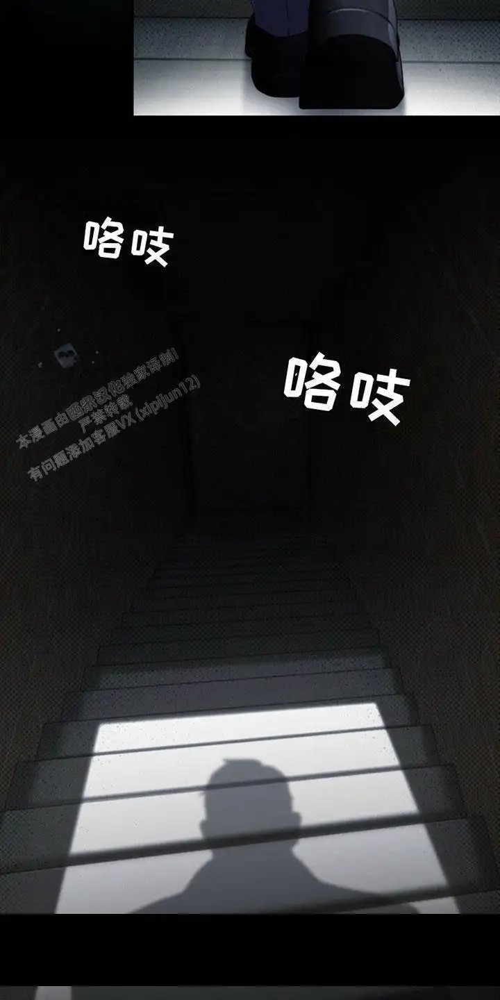 21.jpg