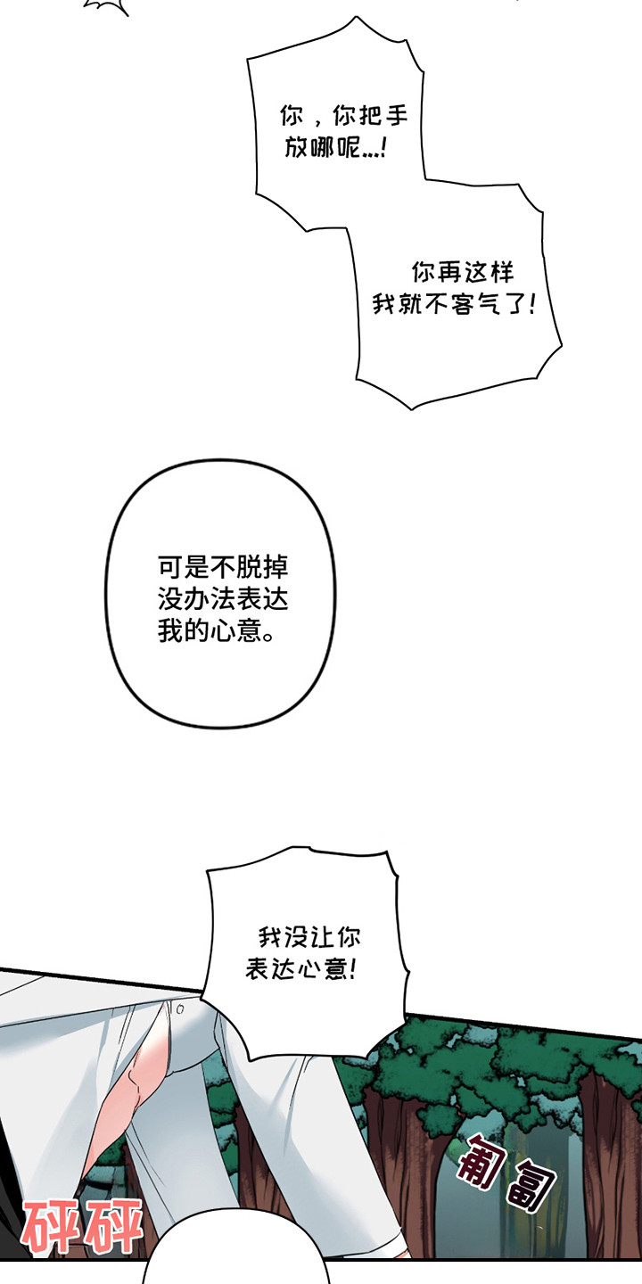 15.jpg