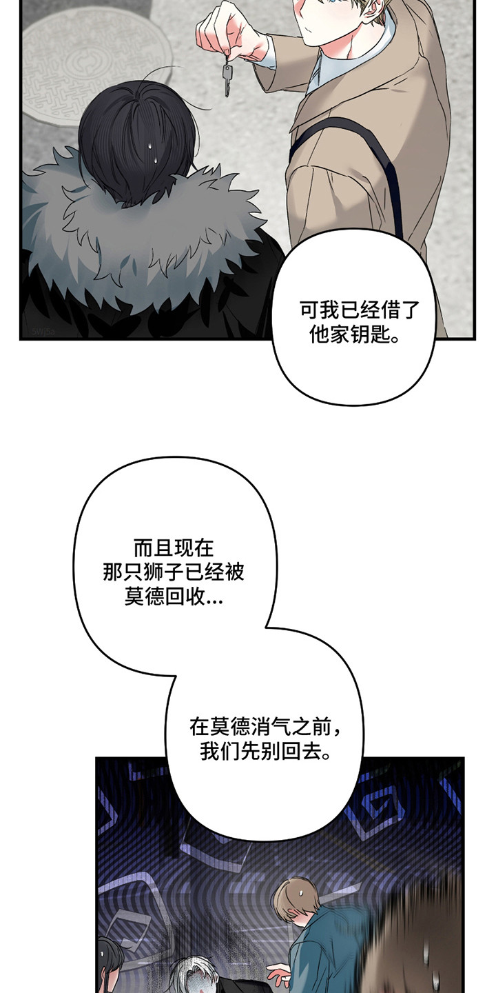 16.jpg