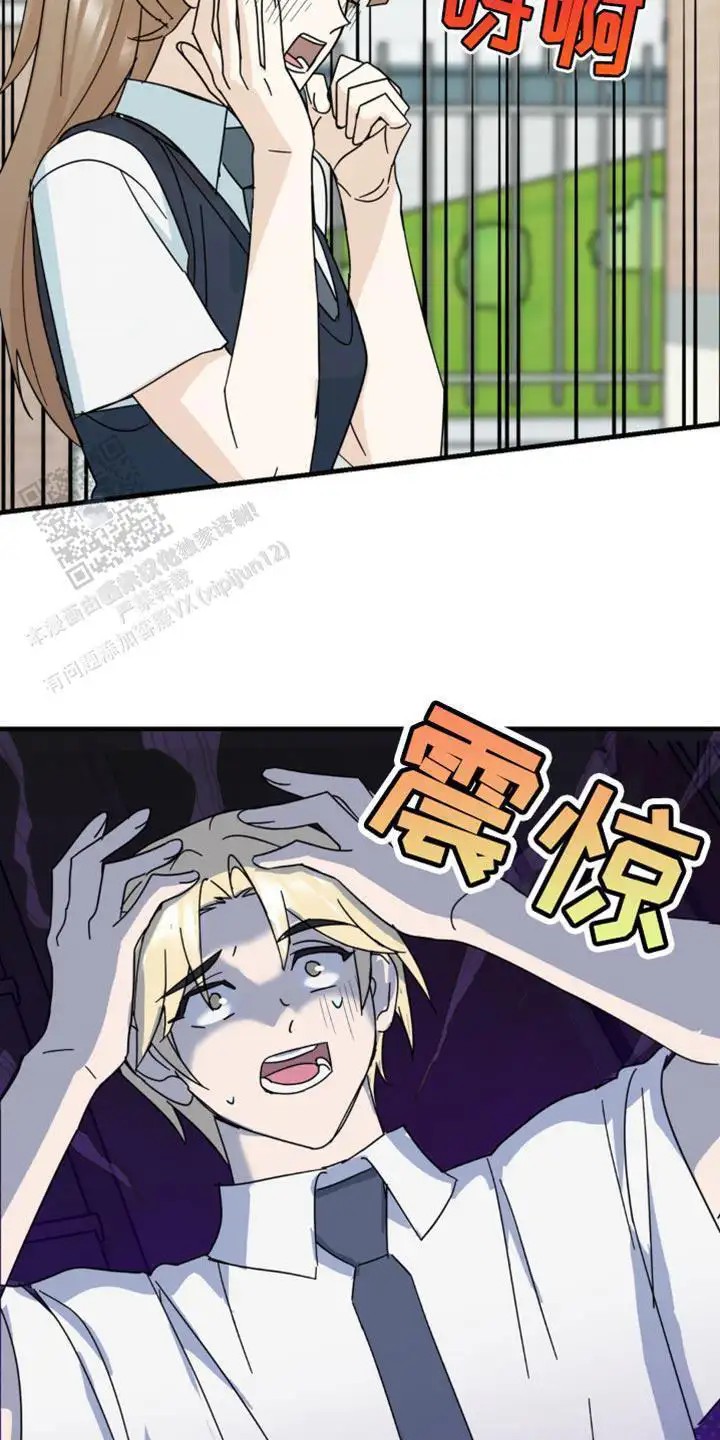 36.jpg