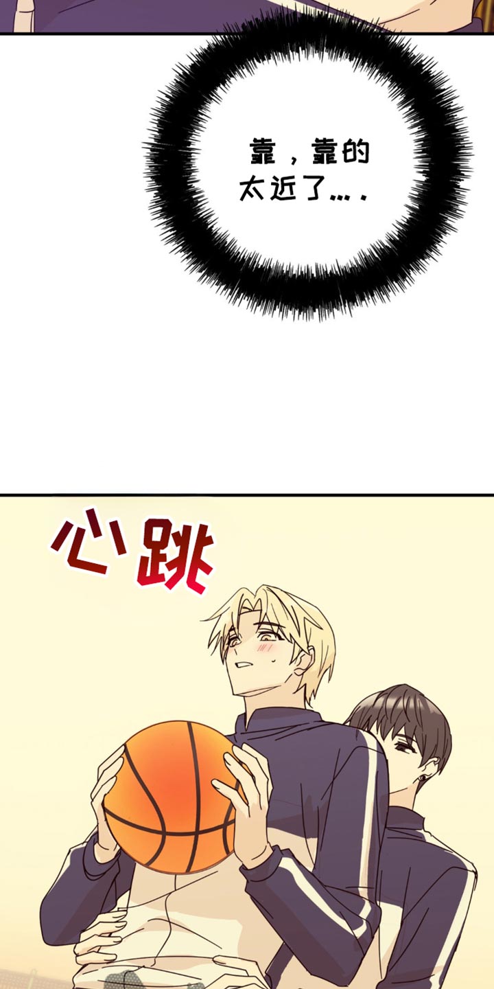 14.jpg