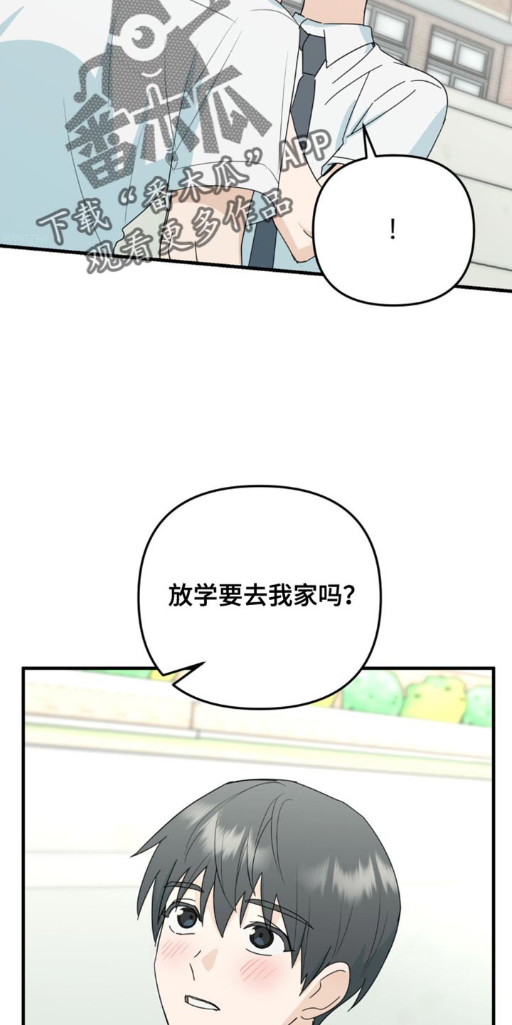 29.jpg