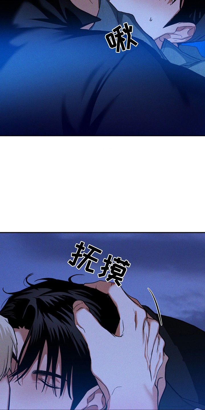 15.jpg