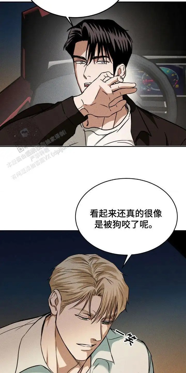 12.jpg