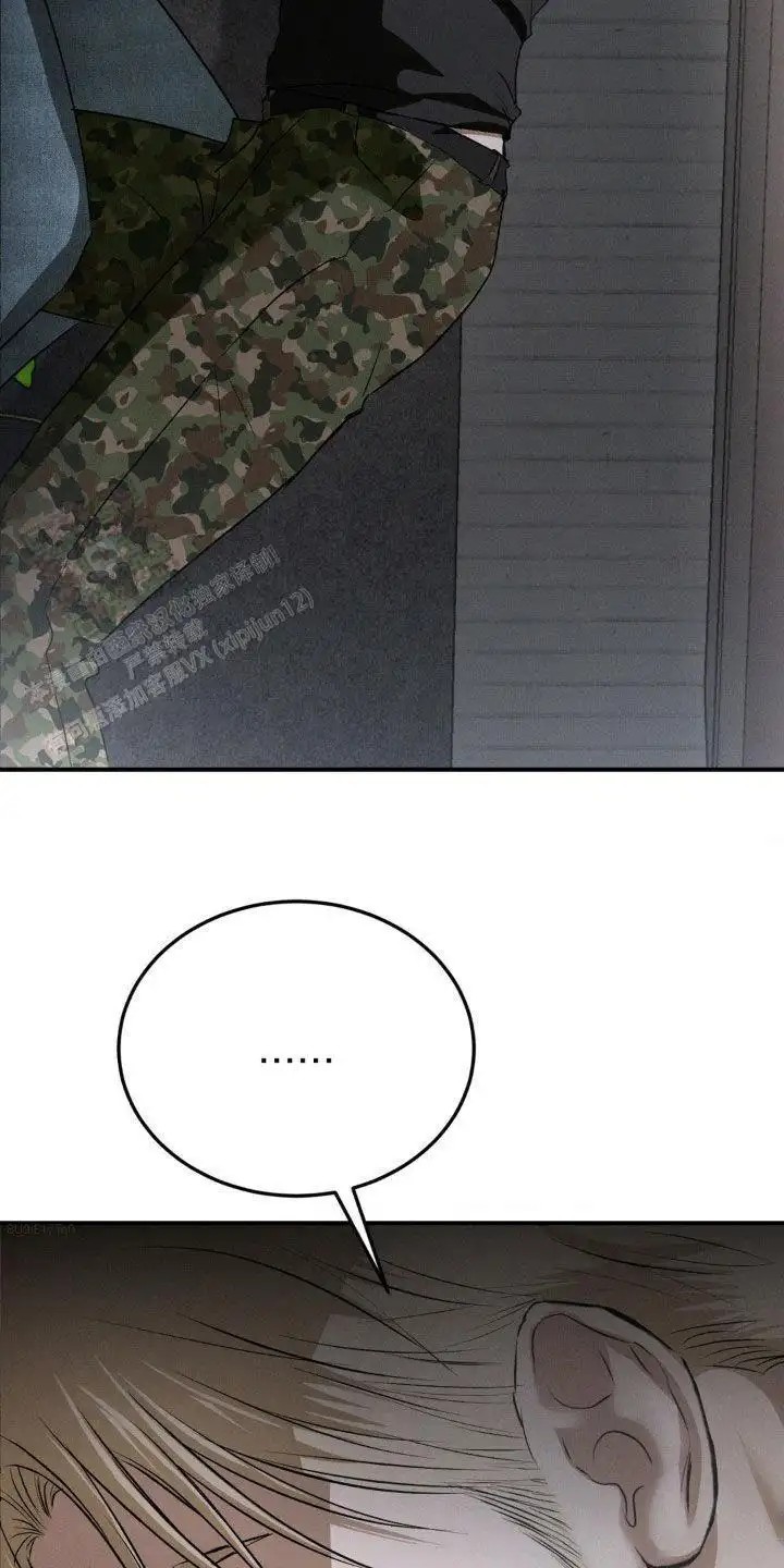 27.jpg
