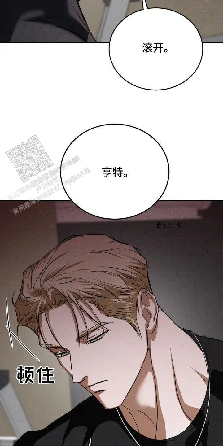 21.jpg