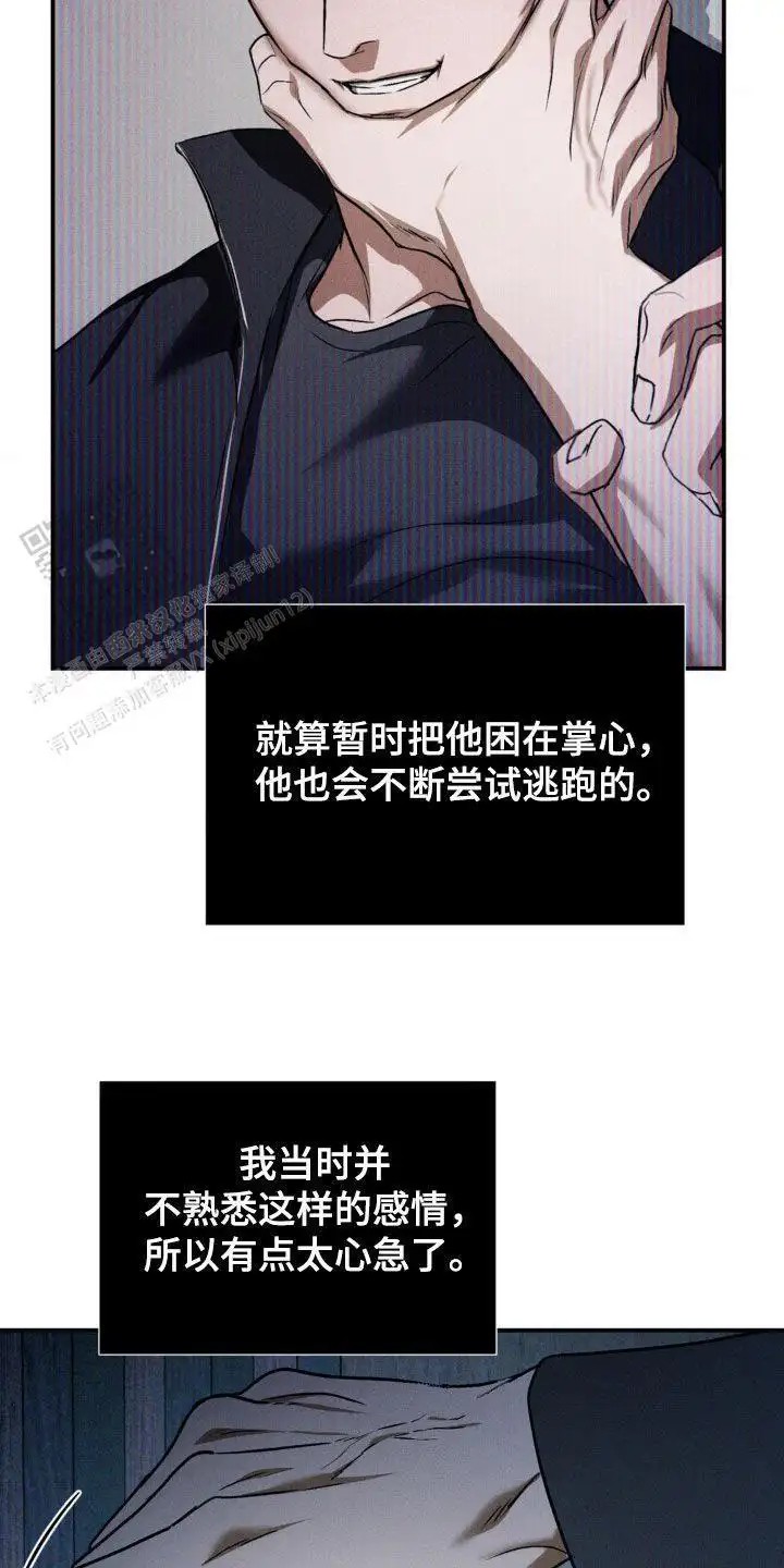 12.jpg