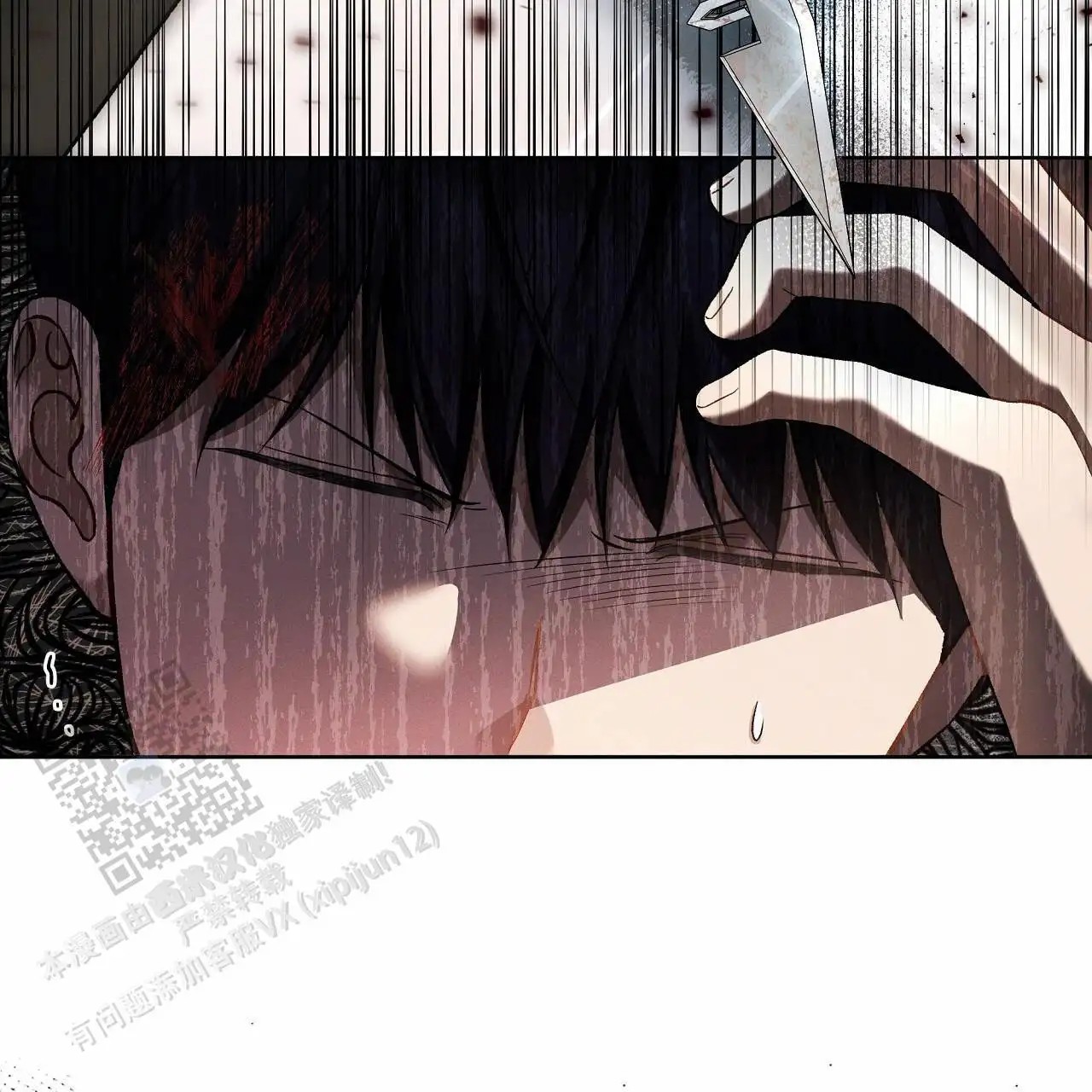 40.jpg