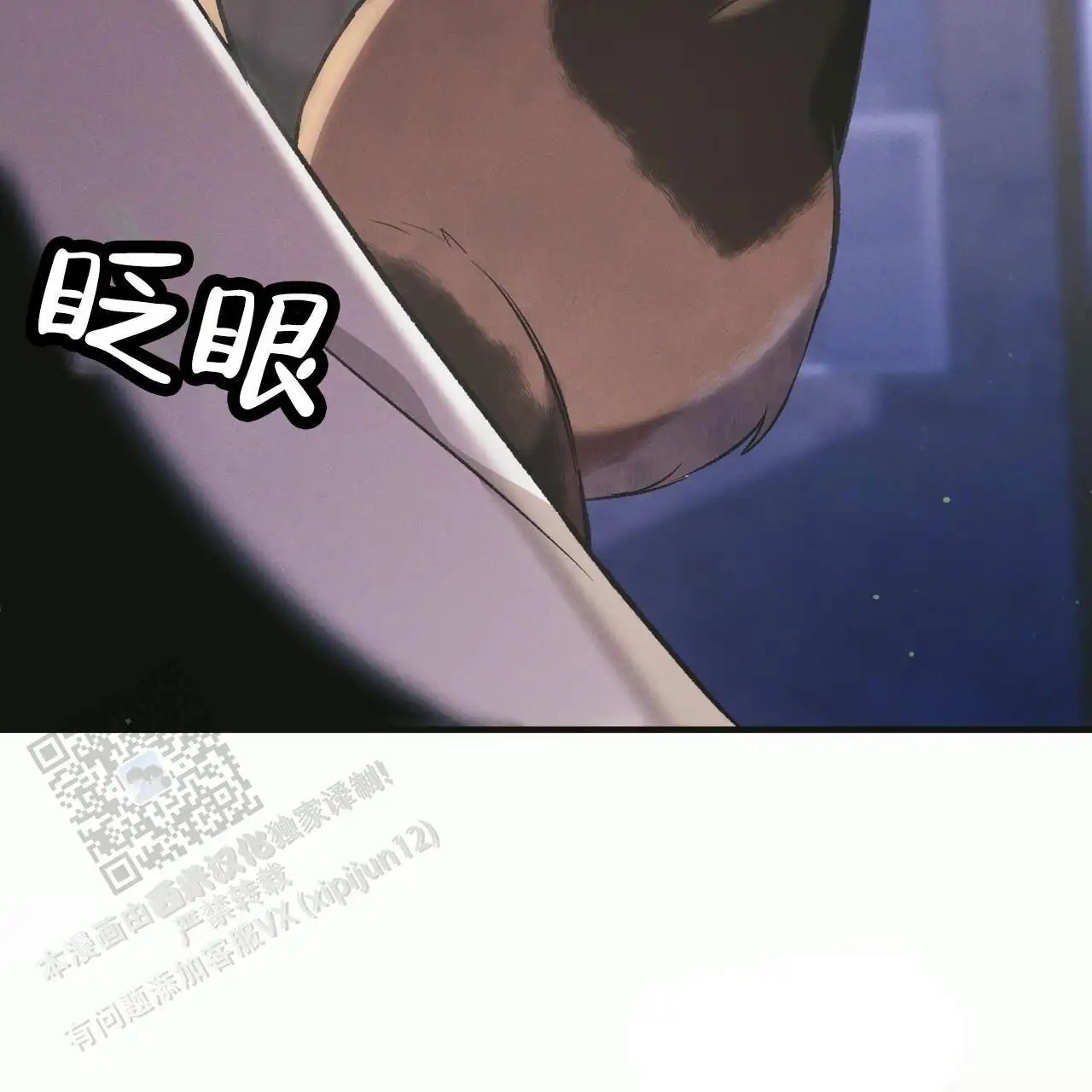 51.jpg