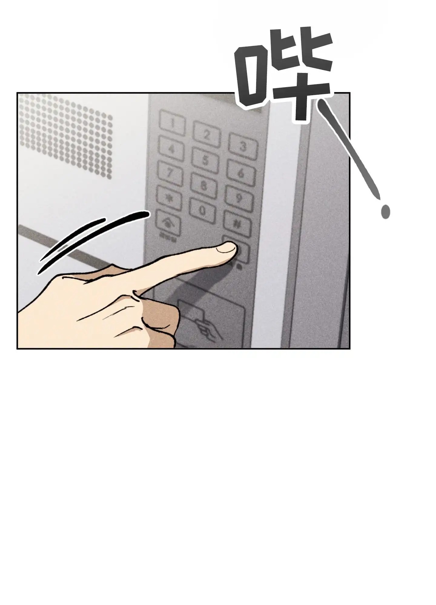 33.jpg