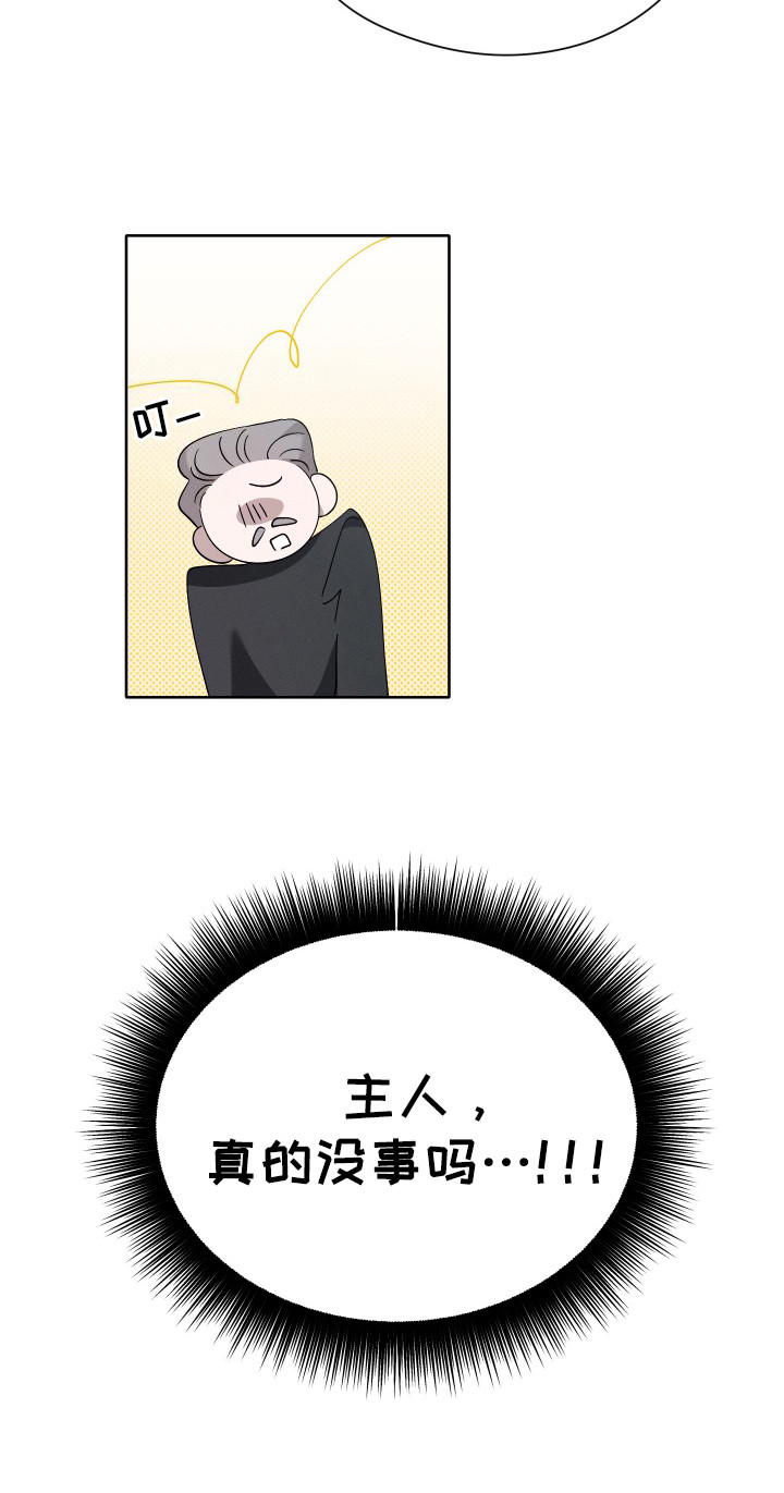 28.jpg