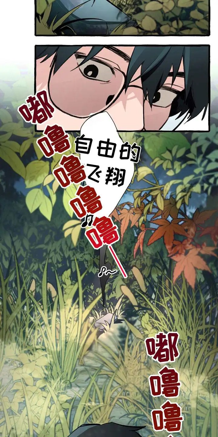 15.jpg
