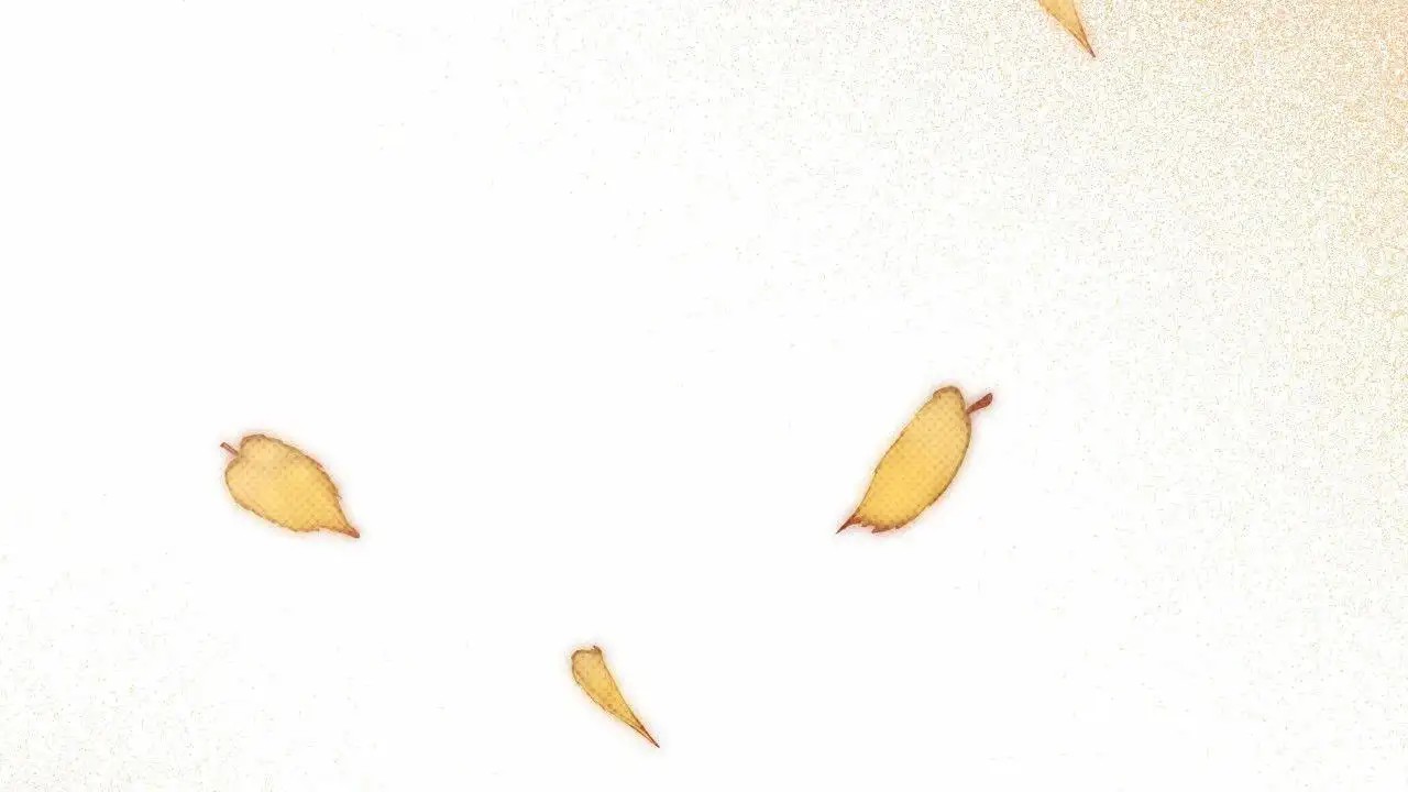 53.jpg