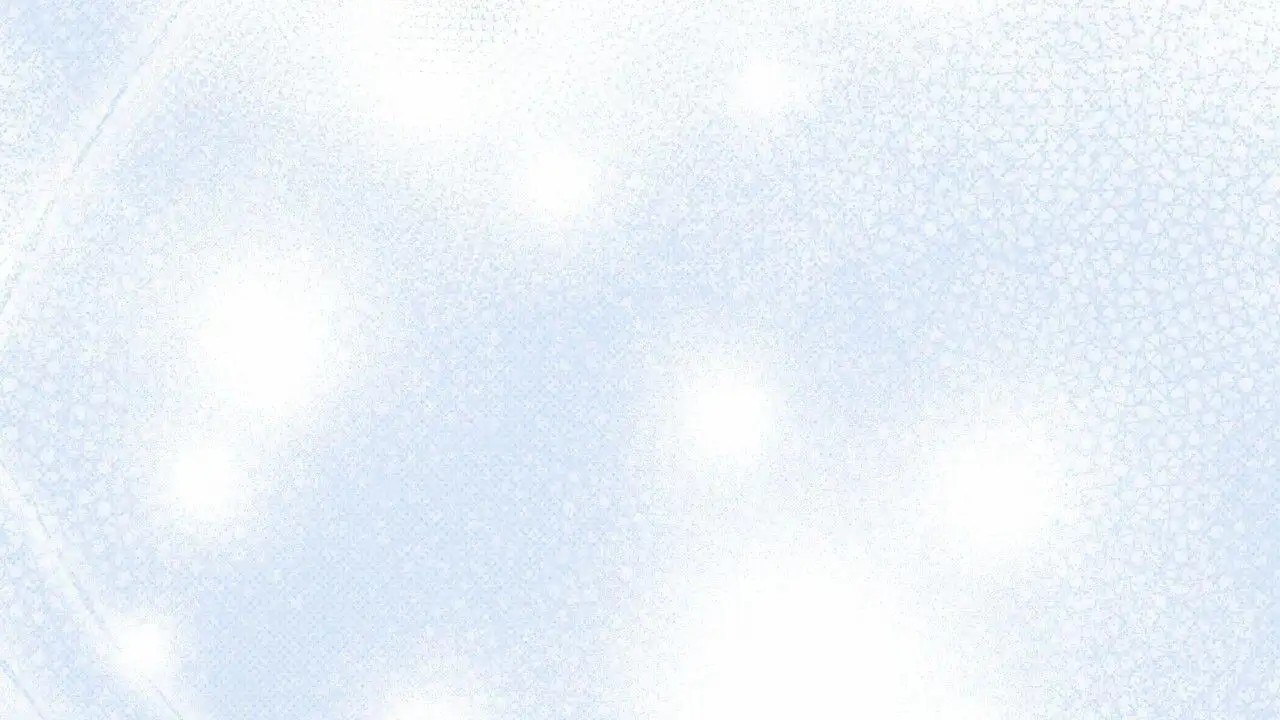 50.jpg