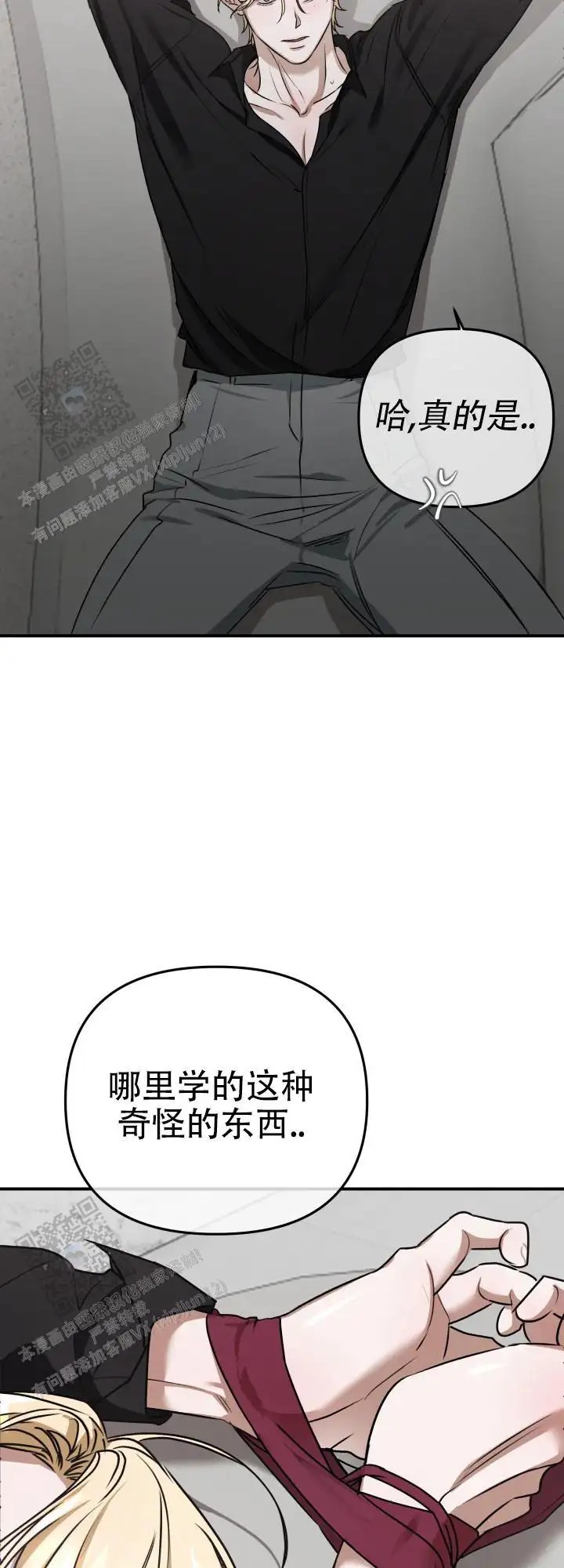 17.jpg
