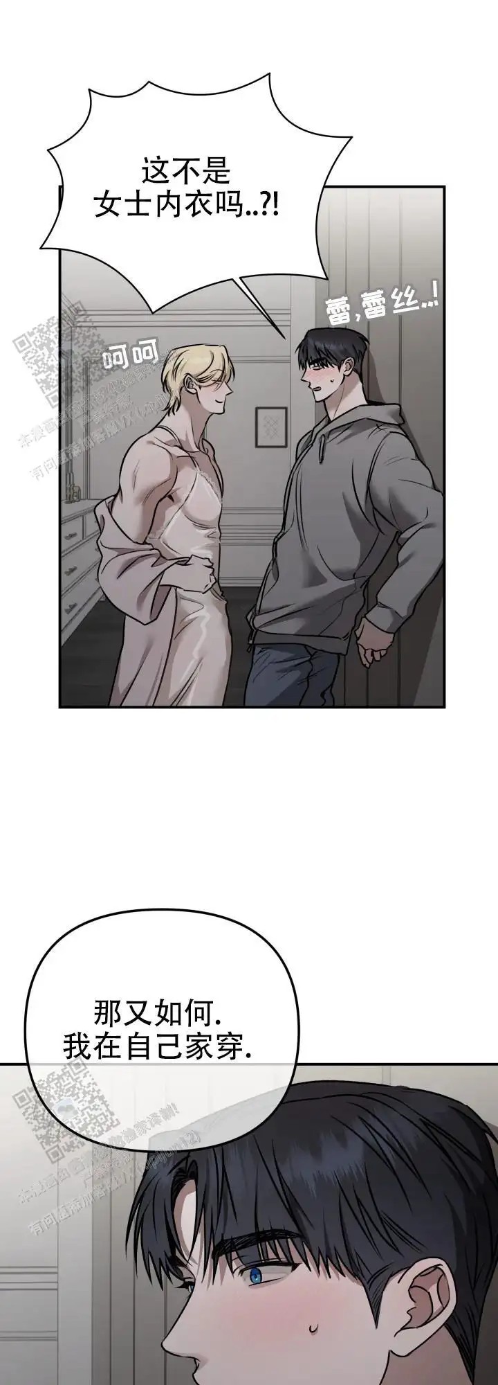 13.jpg