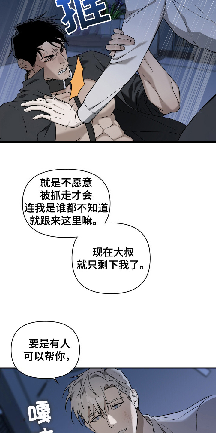 21.jpg