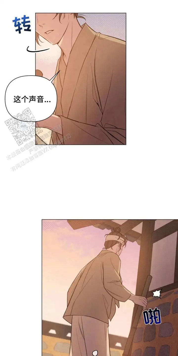 14.jpg
