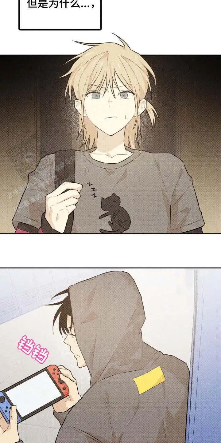 21.jpg