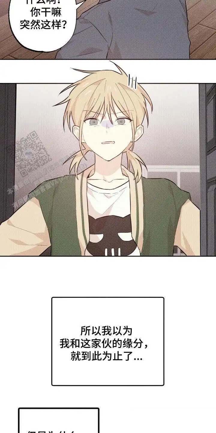 20.jpg