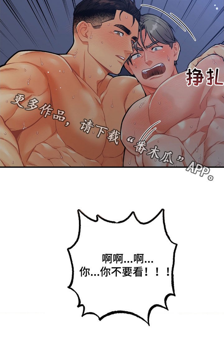26.jpg