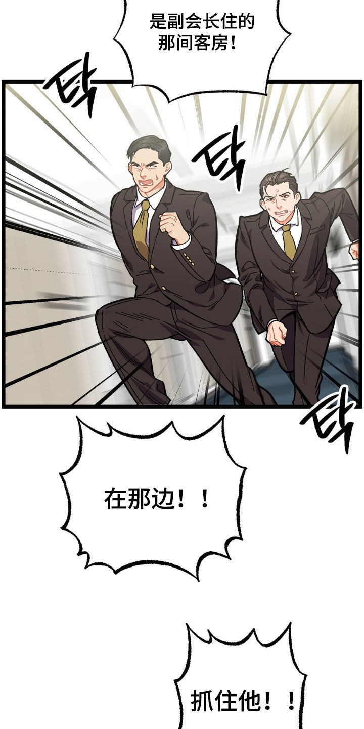 14.jpg