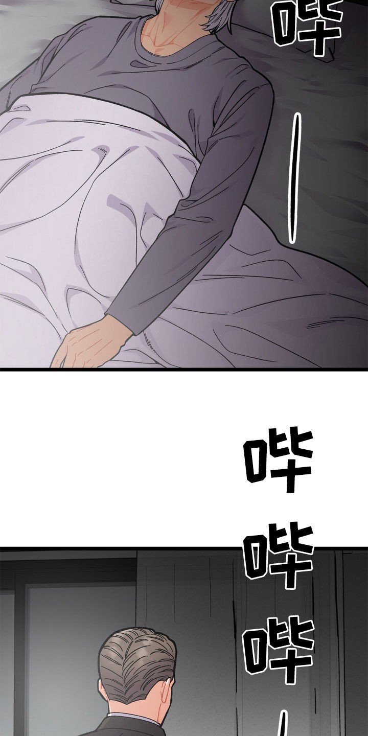 20.jpg