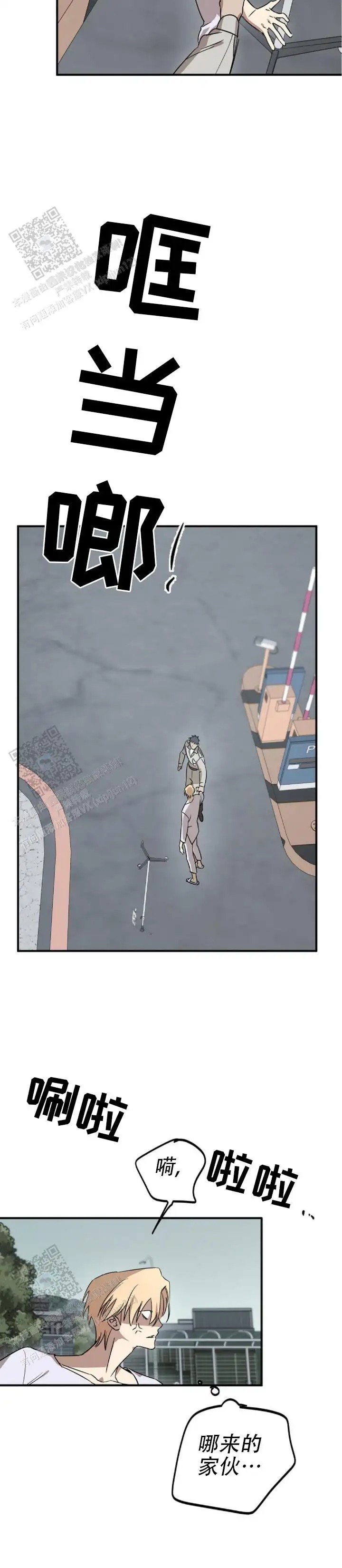 11.jpg