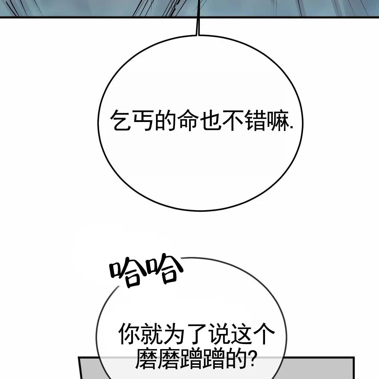 51.jpg