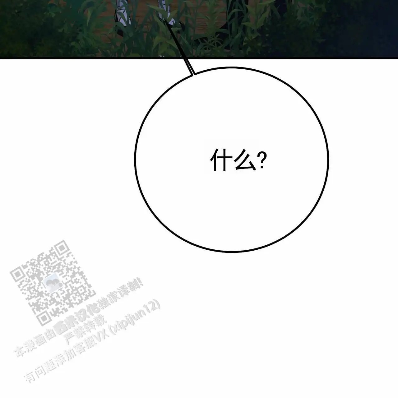 57.jpg