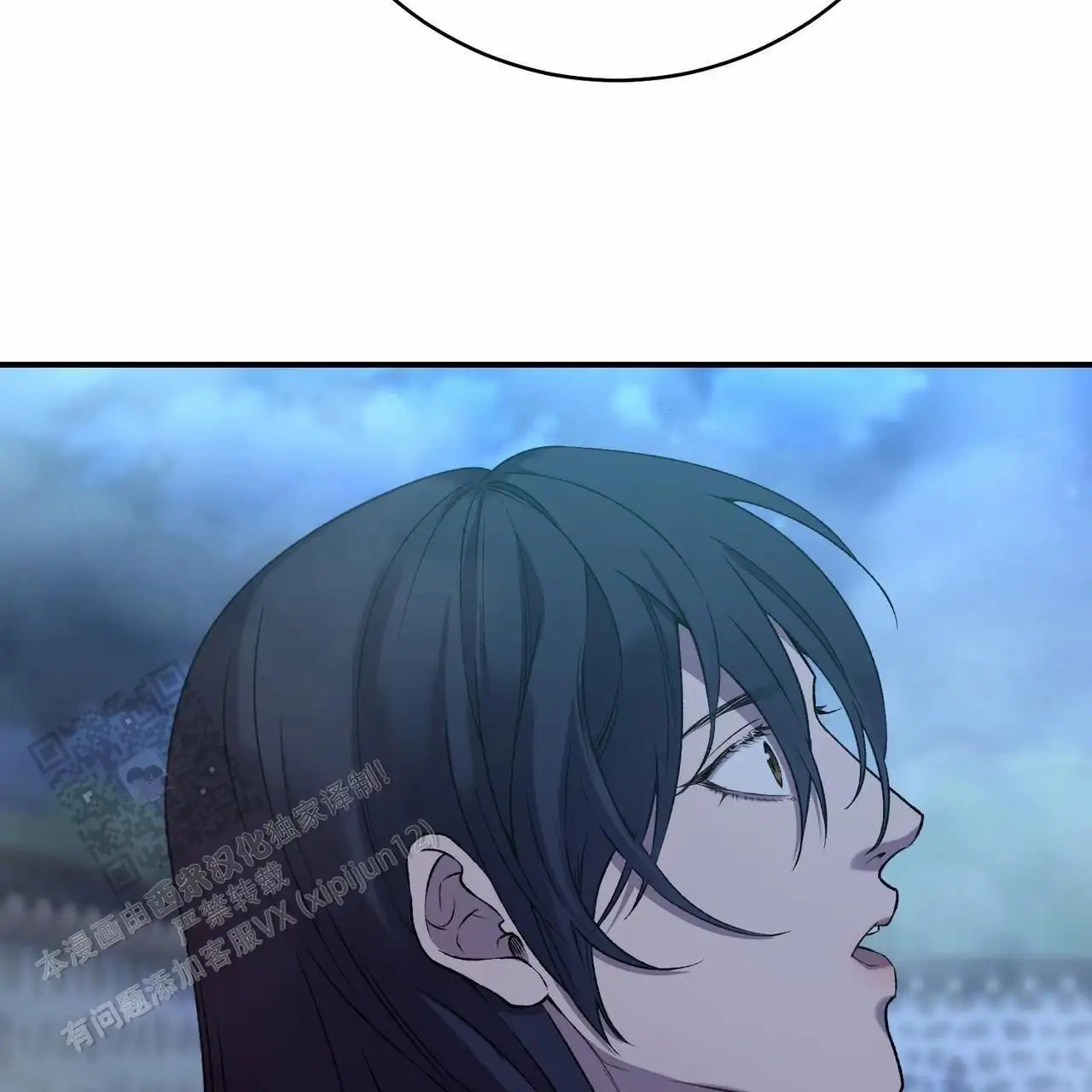 41.jpg