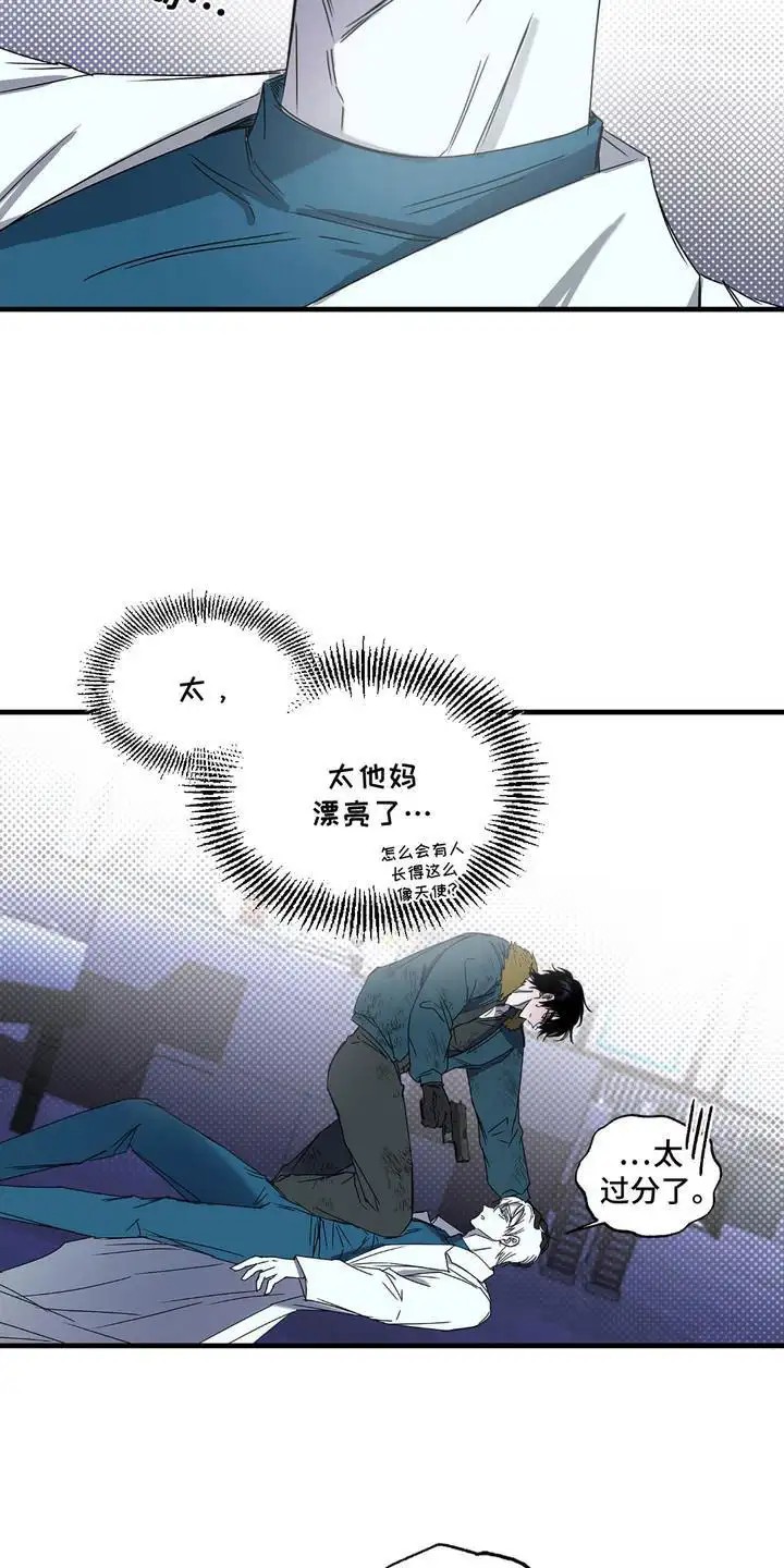 17.jpg