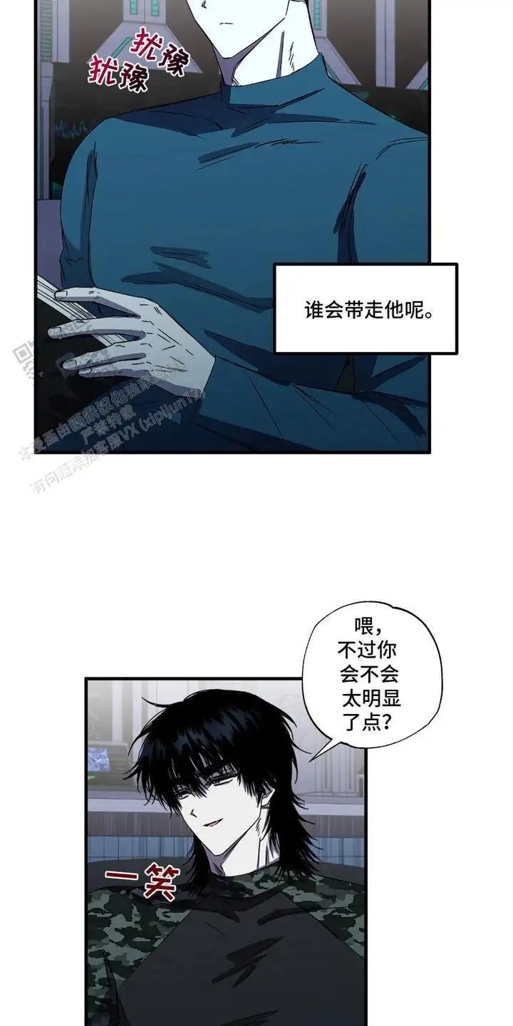 13.jpg