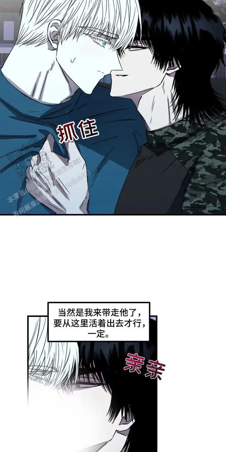 19.jpg