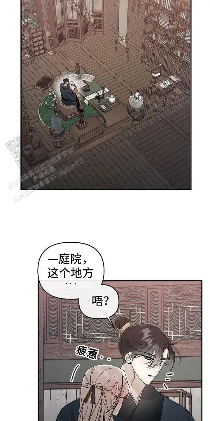 15.jpg